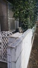 調布市でブロック塀部分補修工事